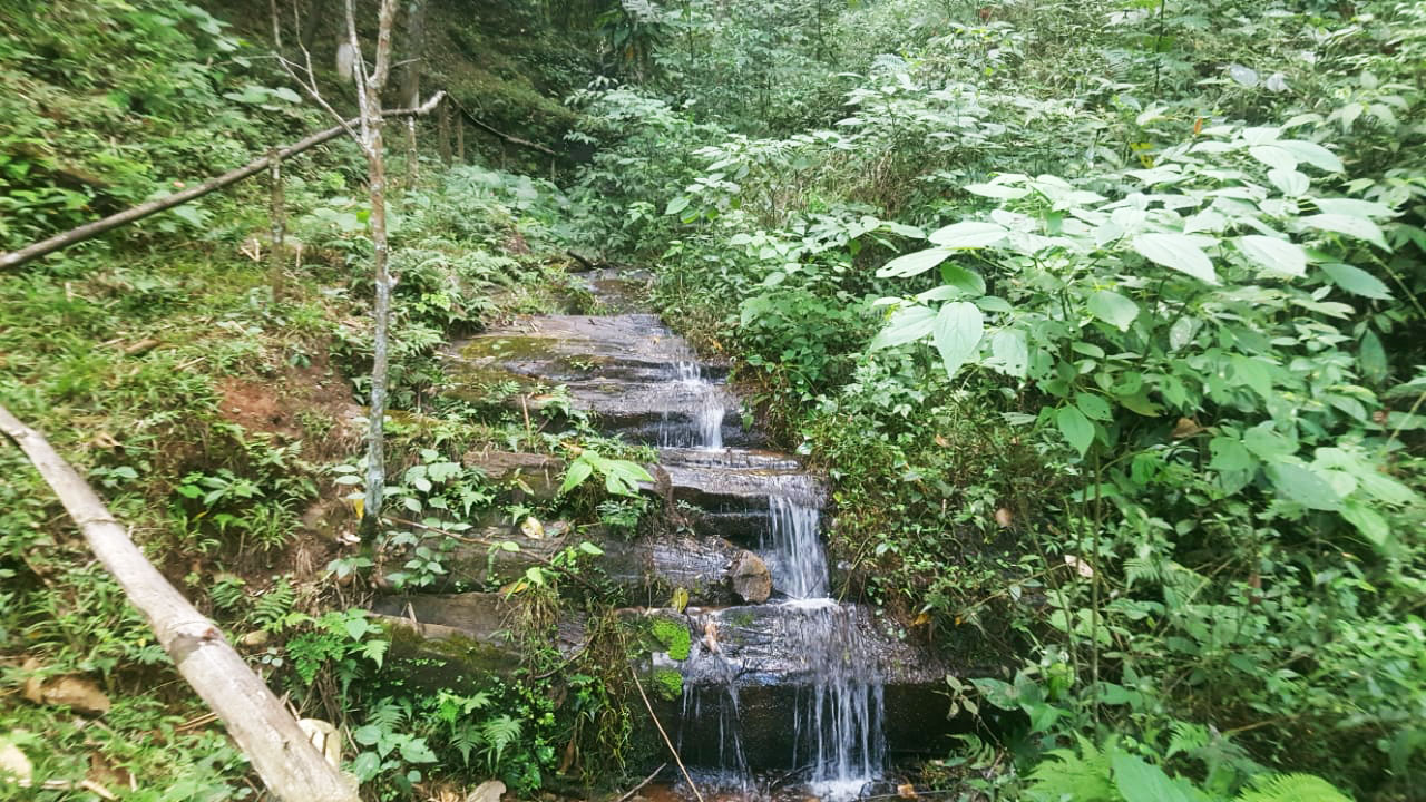 Vista da cachoeira